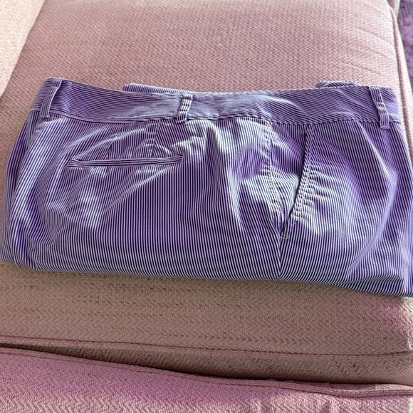 Talbots Sky Blue Ankle Pants - Picture 10 of 13